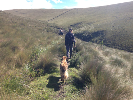 PM Walks: Keys to Getting Leaner