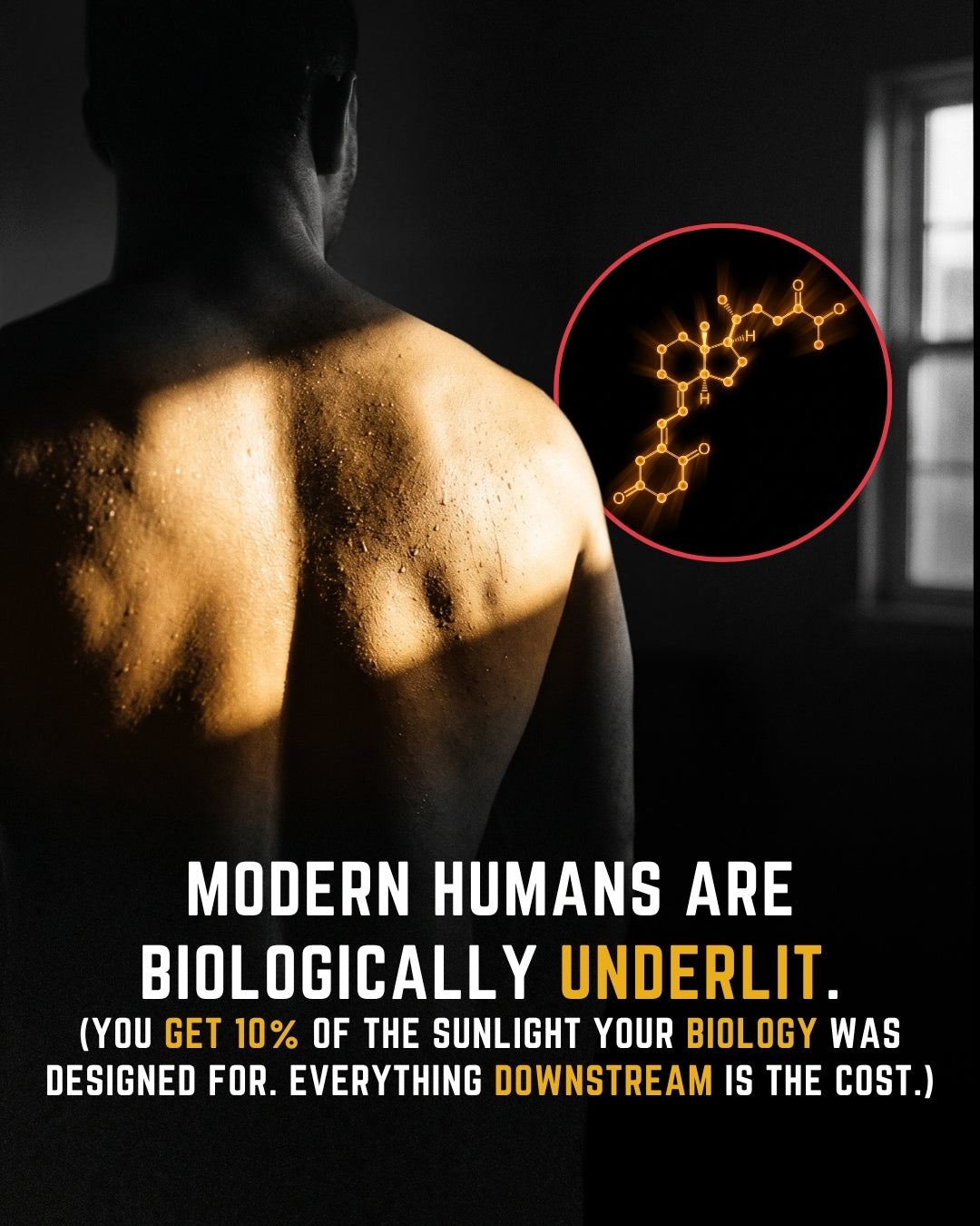 Vitamin D Isn't a Vitamin: Why Low D Levels May Be Holding Back Your Energy, Immunity, and Brain Function