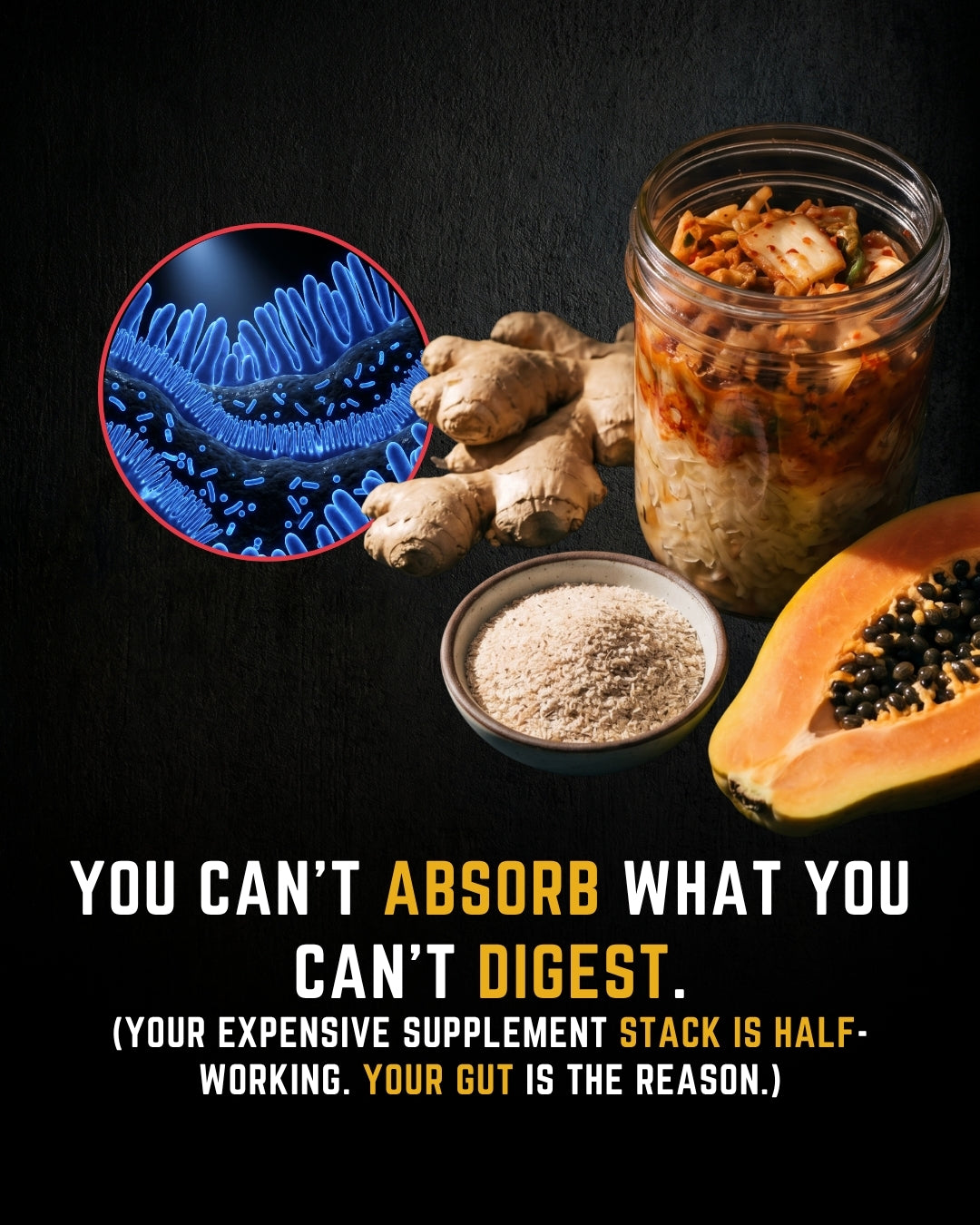 Gut Health and Nutrient Absorption: Why You Can’t Absorb What You Can’t Digest