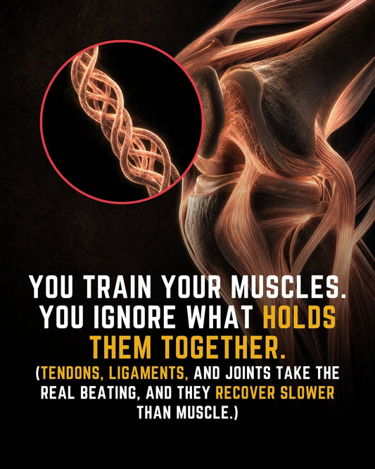You Train Your Muscles. You Ignore What Holds Them Together