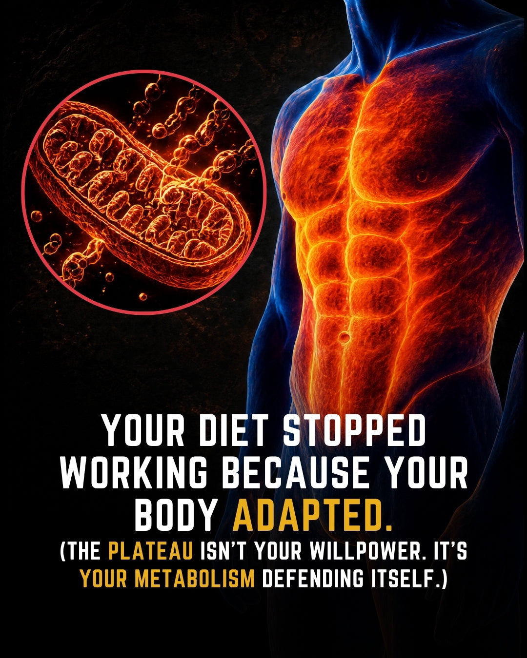How to Fix a Diet That Stopped Working